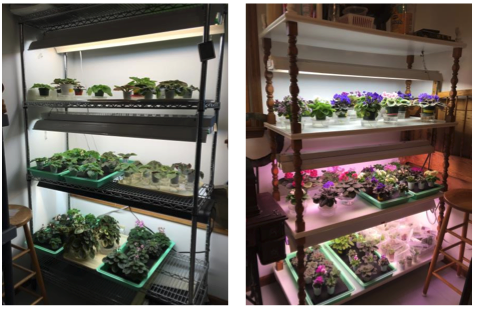 screen-shot-2017-01-21-at-3-24-58-pm